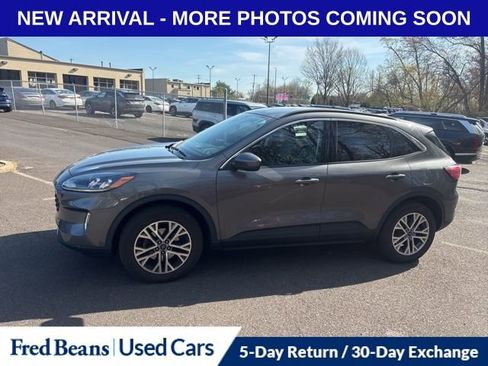 Used 2022 Ford Escape SEL image 5