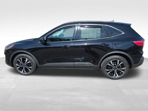 Certified 2022 Ford Escape SEL w/ SEL Stealth AWD Package image 10