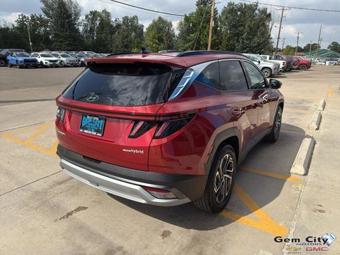 Used 2025 Hyundai Tucson Limited image 5