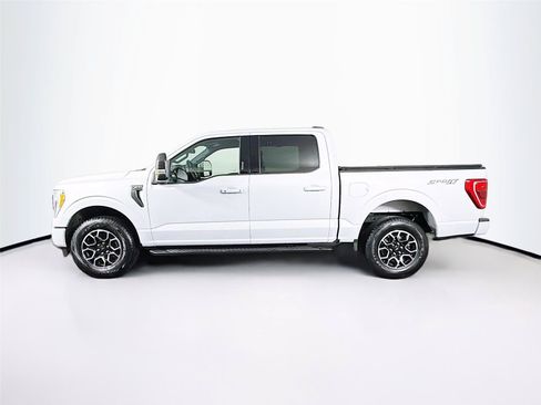 Used 2022 Ford F150 XLT w/ Equipment Group 302A High AWD/4WD image 8