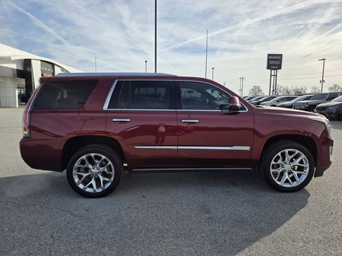 Used 2018 Cadillac Escalade Platinum image 8