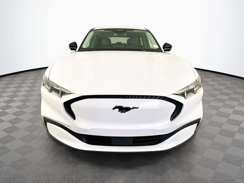 Used 2025 Ford Mustang Mach-E Select w/ Comfort Package Lite AWD/4WD image 5