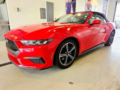 Used 2024 Ford Mustang Premium RWD image 4