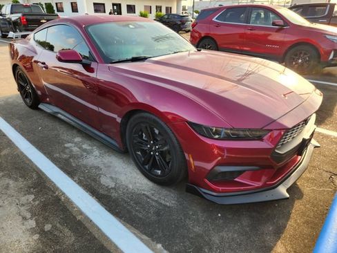 Used 2025 Ford Mustang Coupe RWD image 1