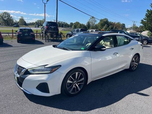 Used 2019 Nissan Maxima 3.5 SL w/ Floor Mat Group image 3