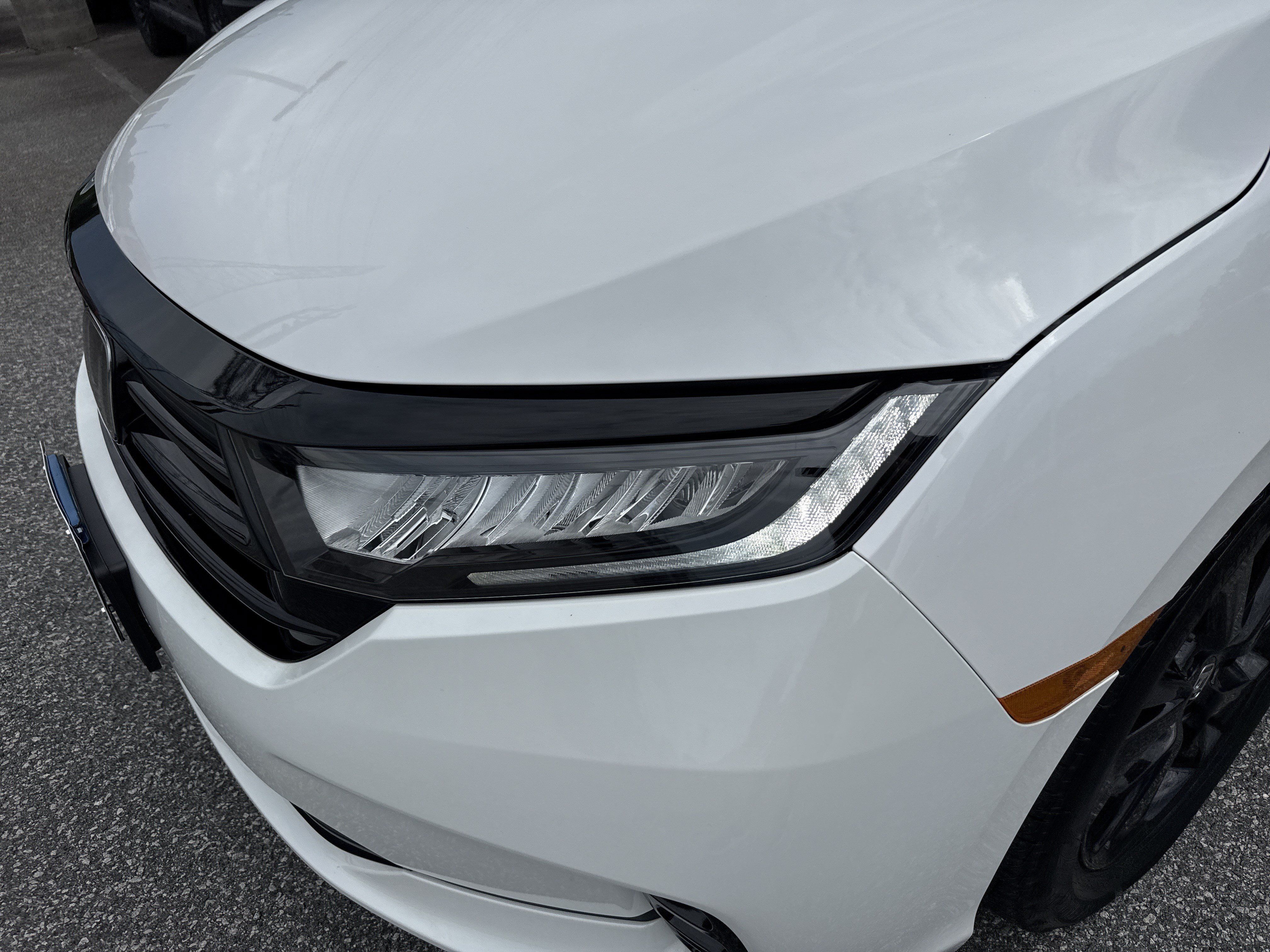 Certified 2024 Honda Odyssey Sport image 6