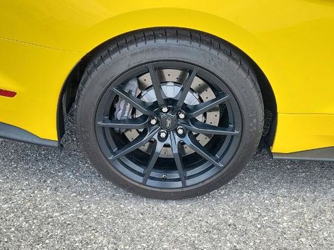 Certified 2017 Ford Mustang Shelby GT350 RWD image 6