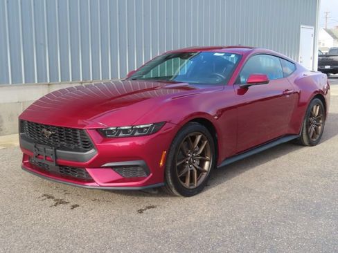 Used 2025 Ford Mustang Premium RWD image 7