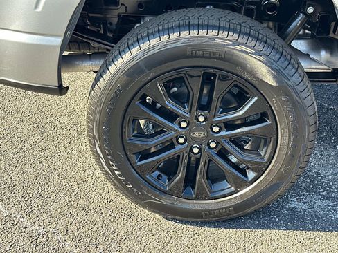 New 2025 Ford F150 XLT w/ Equipment Group 302A MID image 50