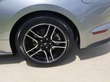 Used 2021 Ford Mustang Convertible w/ Equipment Group 101A image 4