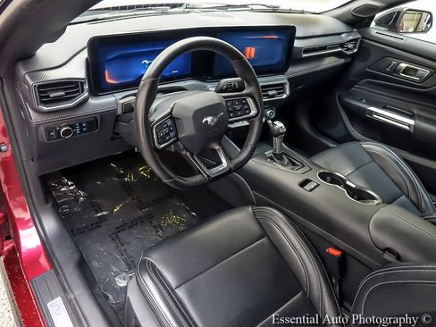 Used 2025 Ford Mustang Premium w/ Mustang Nite Pony Package RWD image 11