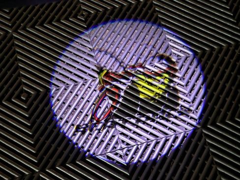 Used 2016 Dodge Charger R/T Scat Pack image 51