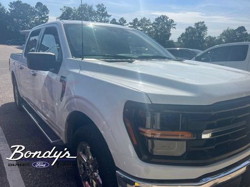 Used 2025 Ford F150 XLT w/ Equipment Group 301A Standard RWD image 3