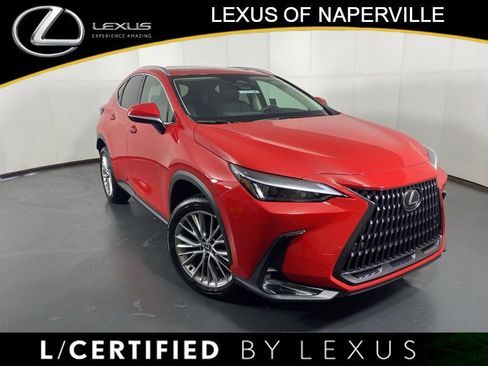 Certified 2025 Lexus NX 350h AWD w/ Cold Area Package image 1