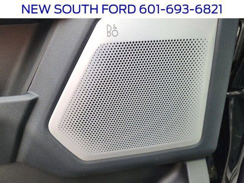 New 2025 Ford F250 Platinum image 10