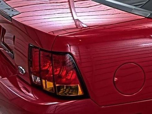 Used 1999 Ford Mustang Cobra image 13