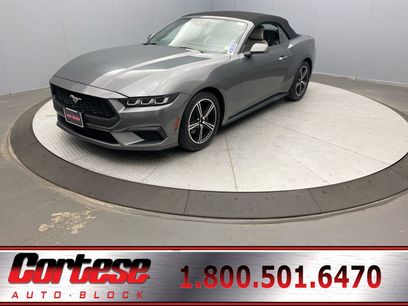 Used 2024 Ford Mustang Premium