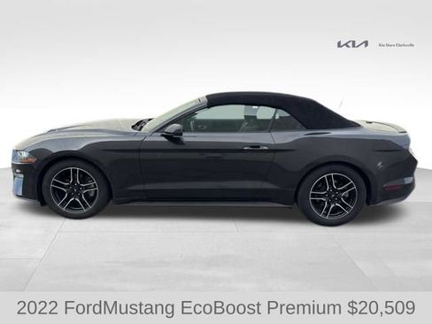 Used 2022 Ford Mustang Premium RWD image 5