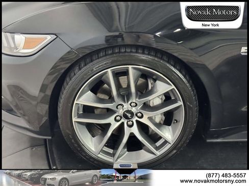 Used 2017 Ford Mustang GT Premium w/ Equipment Group 401A image 11