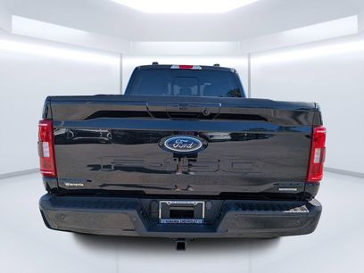 Used 2023 Ford F150 XLT w/ Equipment Group 302A High