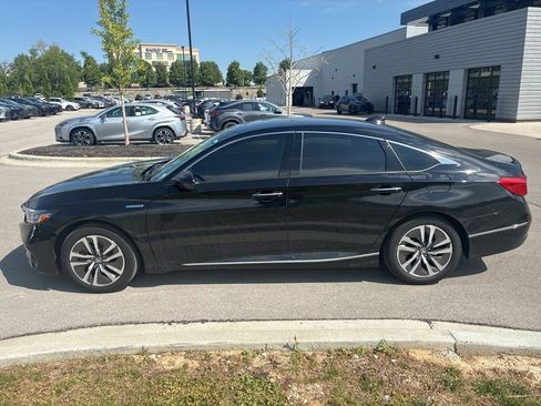 Used 2019 Honda Accord Touring image 4