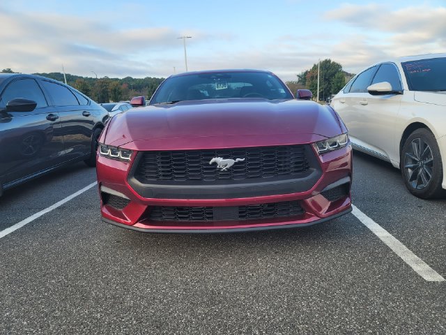 Used 2025 Ford Mustang Premium RWD image 2