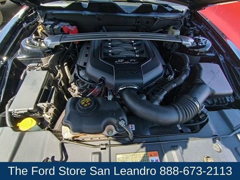 Used 2014 Ford Mustang GT w/ Equipment Group 301A image 19