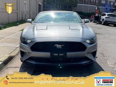 Used 2024 Ford Mustang Premium RWD image 1