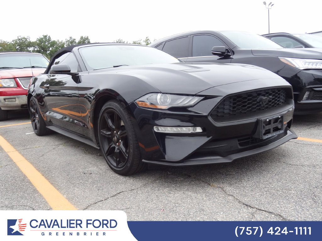Used 2019 Ford Mustang Premium w/ Equipment Group 201A RWD image 1