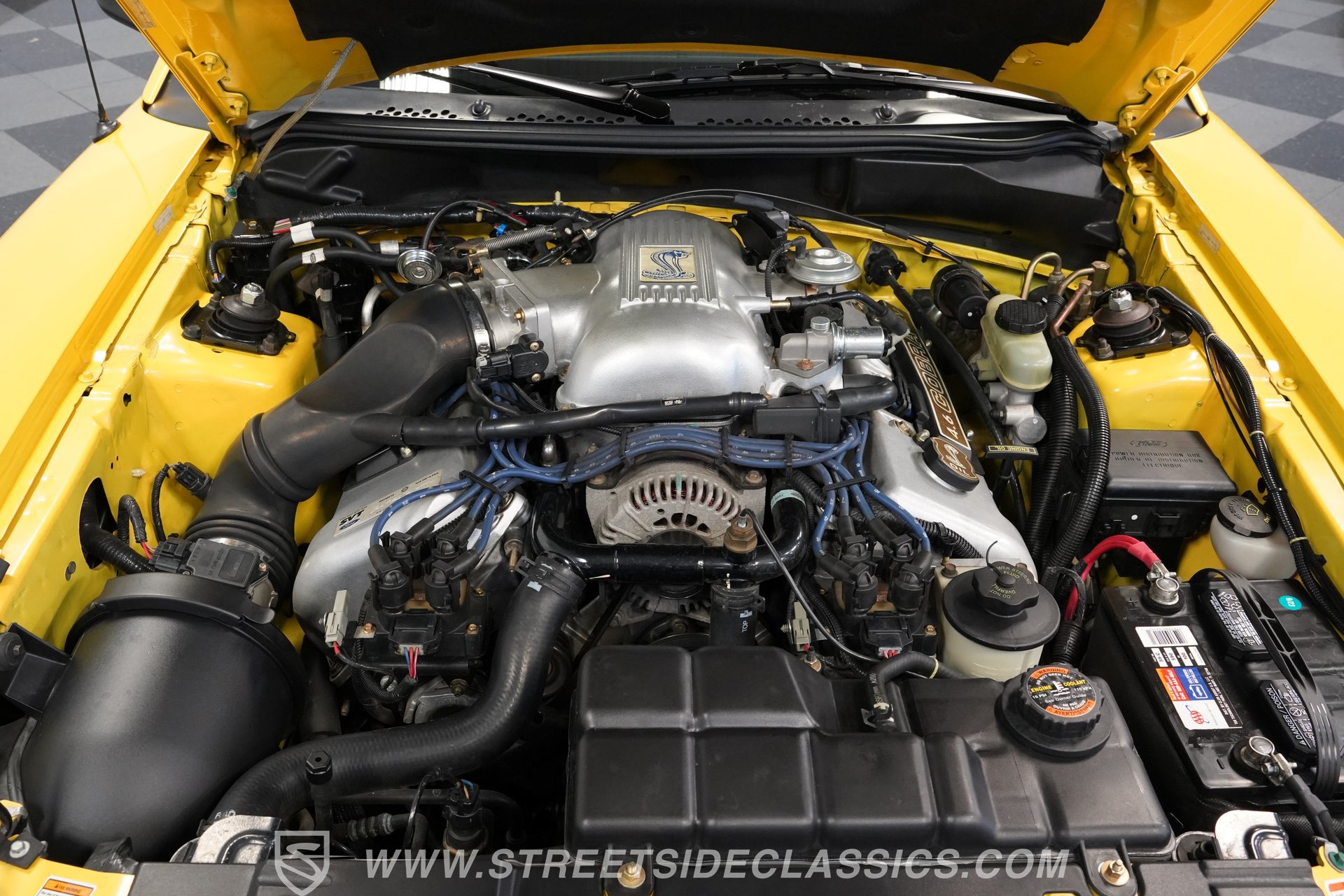 Used 1998 Ford Mustang Cobra RWD image 3