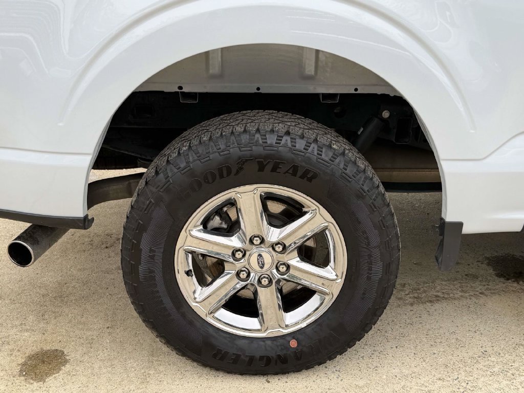 Used 2025 Ford F150 XLT w/ Equipment Group 301A Standard AWD/4WD image 7