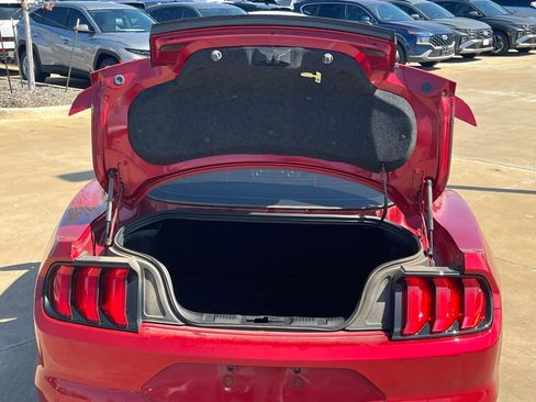 Used 2022 Ford Mustang GT w/ Equipment Group 301A image 15