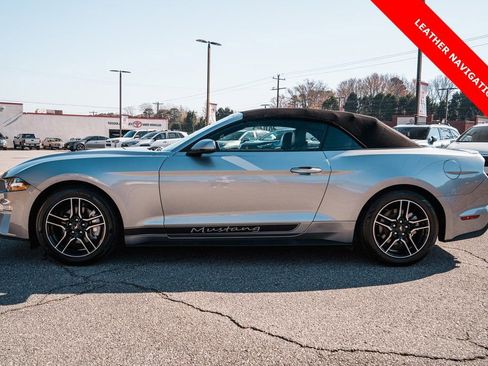 Used 2023 Ford Mustang Premium w/ Equipment Group 201A image 5