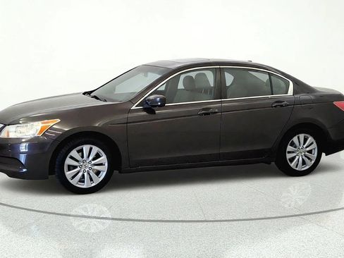 Used 2011 Honda Accord EX-L image 3