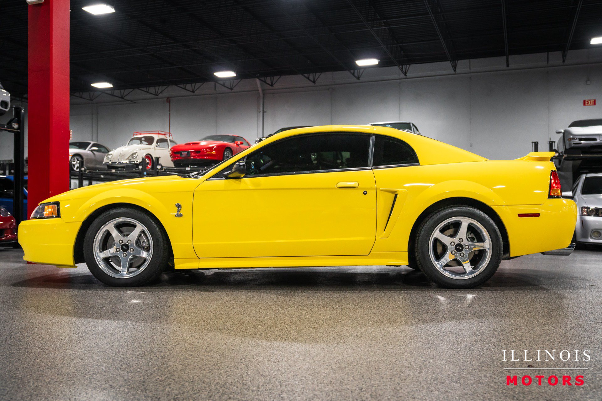 Used 2001 Ford Mustang Cobra RWD image 2
