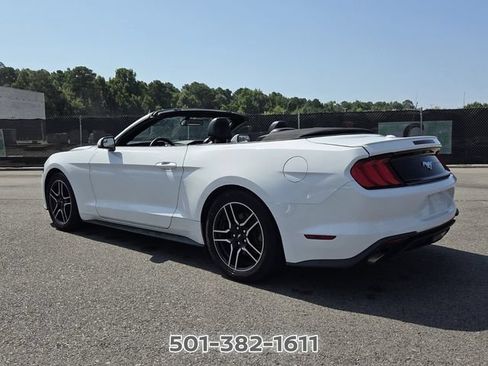 Used 2019 Ford Mustang Premium RWD image 3