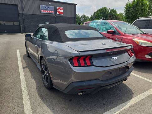 Used 2024 Ford Mustang Premium RWD image 2