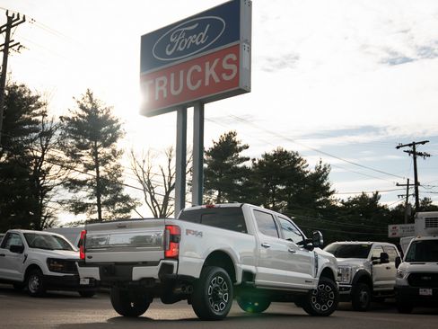 Used 2024 Ford F350 Platinum image 6