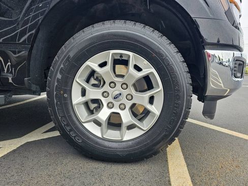 Used 2025 Ford F150 XLT w/ Equipment Group 301A Standard AWD/4WD image 9