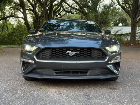 Used 2019 Ford Mustang Premium RWD image 2