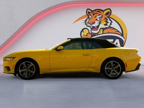 Used 2024 Ford Mustang Premium RWD image 8