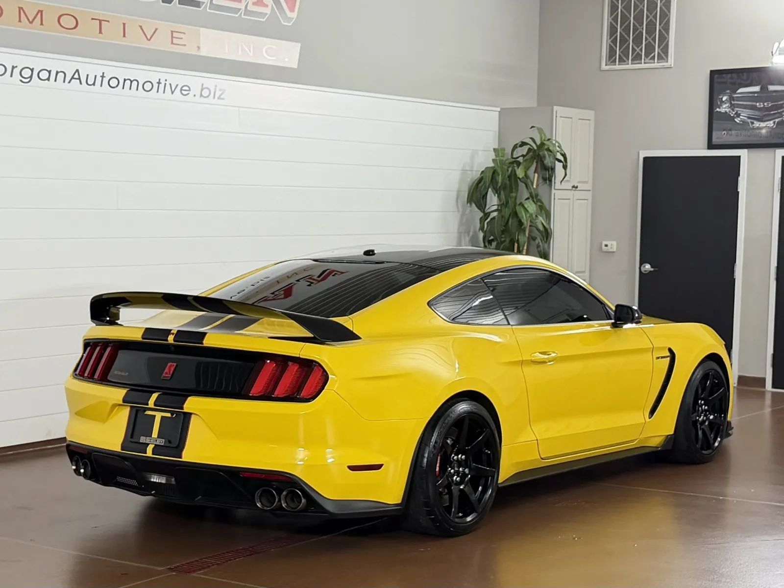 Used 2017 Ford Mustang Shelby GT350R w/ GT350R Equipment Group 920A RWD image 3