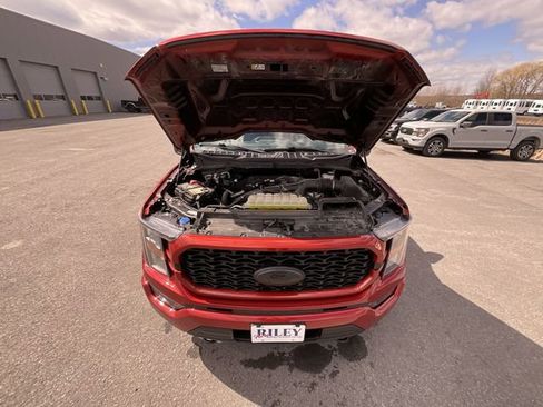Certified 2023 Ford F150 XL w/ STX Appearance Package AWD/4WD image 26