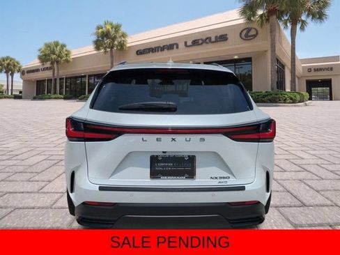 Certified 2024 Lexus NX 350 AWD image 5