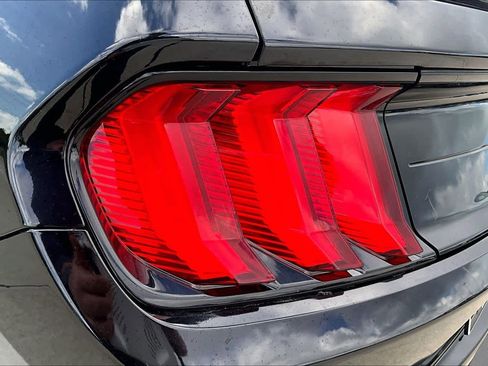 Used 2019 Ford Mustang Premium w/ Equipment Group 201A RWD image 23