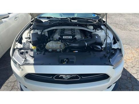 Used 2015 Ford Mustang 50 Years RWD image 14