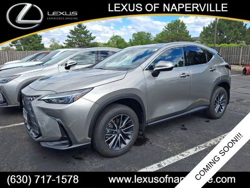 Used 2024 Lexus NX 350 AWD image 1