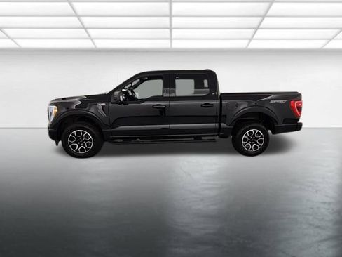 Used 2023 Ford F150 XLT w/ Equipment Group 302A High AWD/4WD image 5