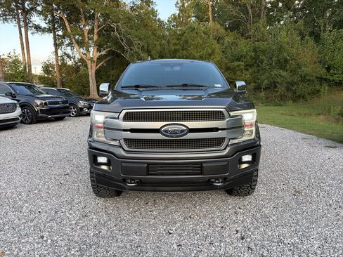 Used 2019 Ford F150 Platinum w/ Equipment Group 701A Luxury AWD/4WD image 2