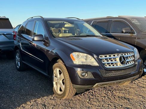 Used 2011 Mercedes-Benz ML 350 2WD image 2